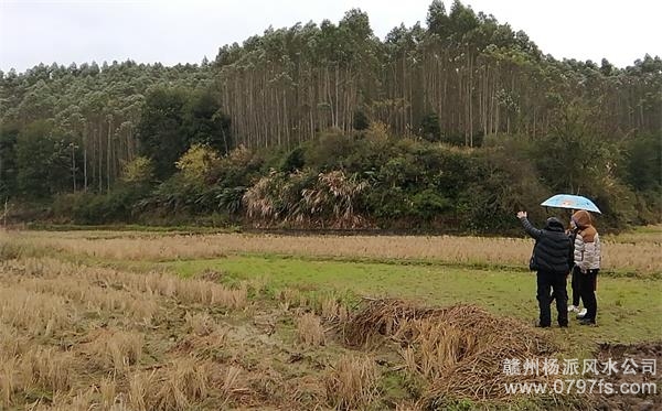 荆门市陈老师带着爱徒寻龙点穴